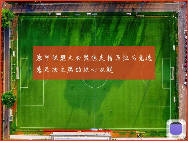 意甲联盟大会聚焦支持马拉戈竞选意足协主席的核心议题